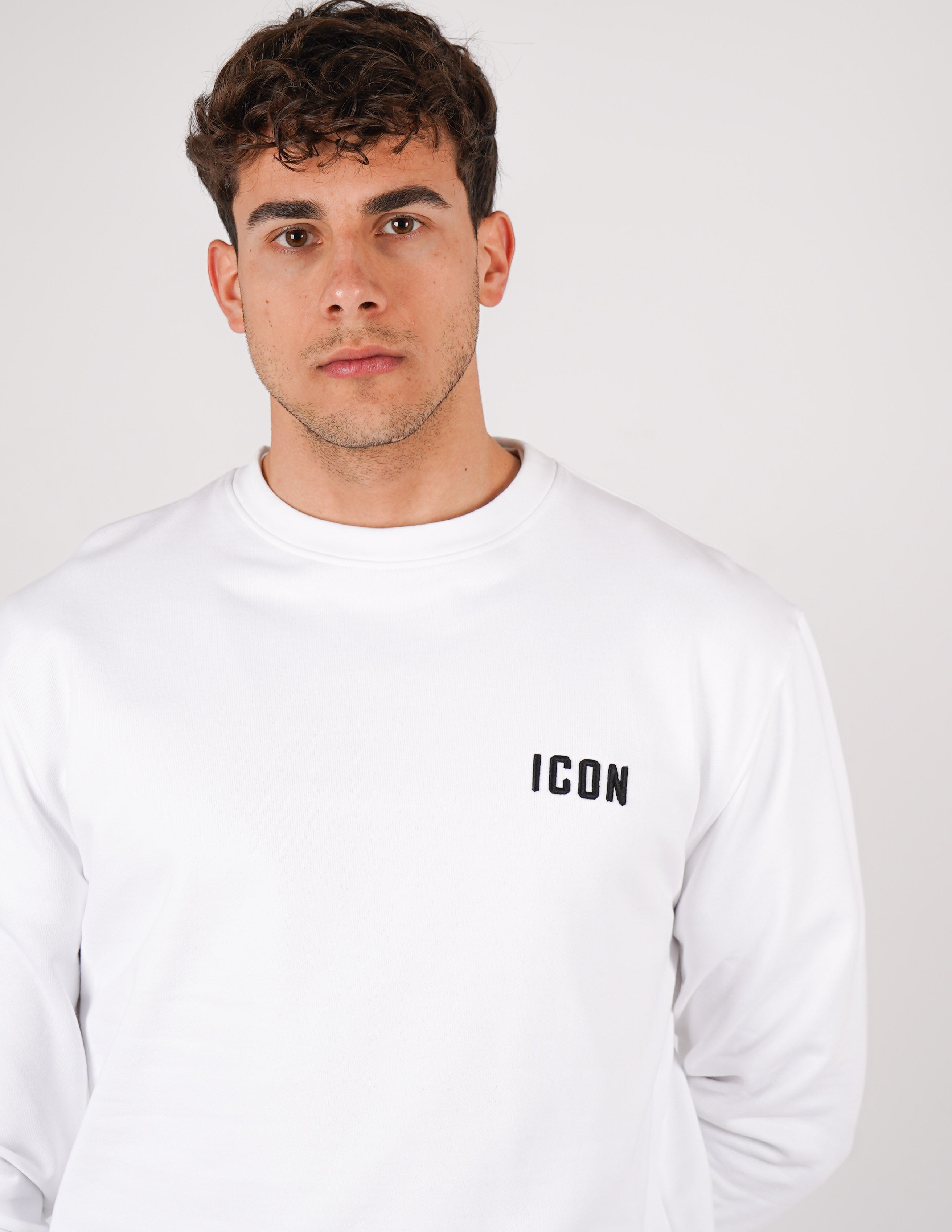 felpa icon girocollo