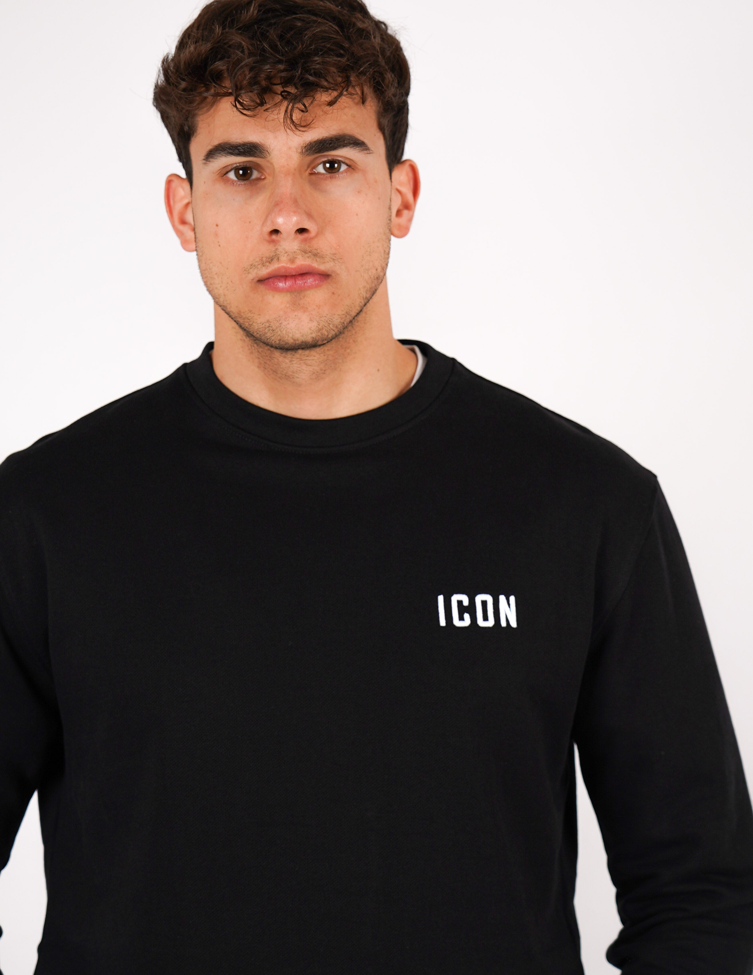 felpa icon girocollo