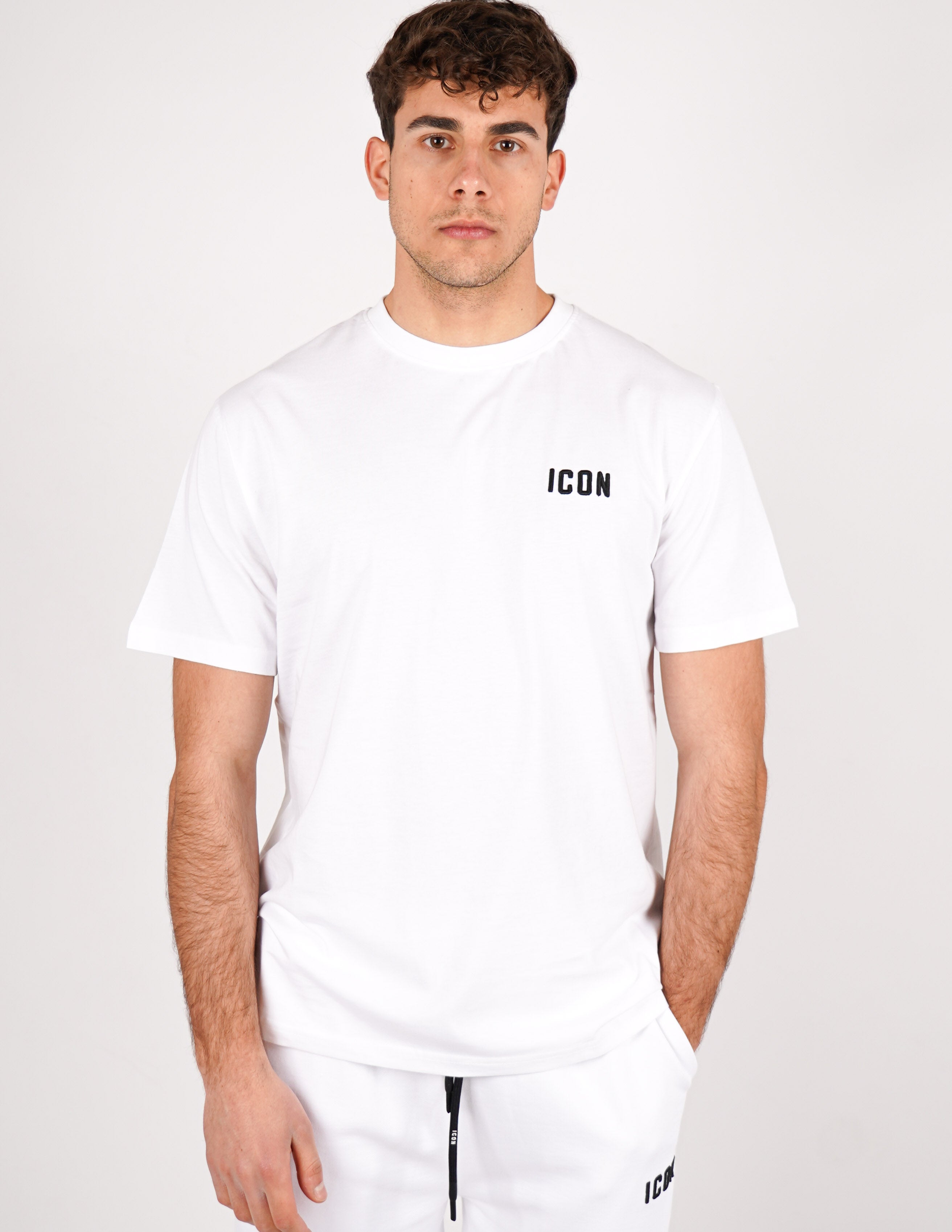 t-shirt icon logo piccolo